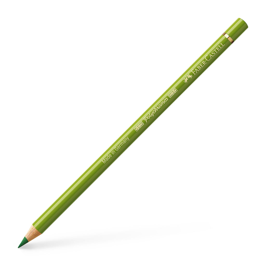 Polychromos Artists' Color Pencil - #168 Earth Green Yellowish - #FC110168