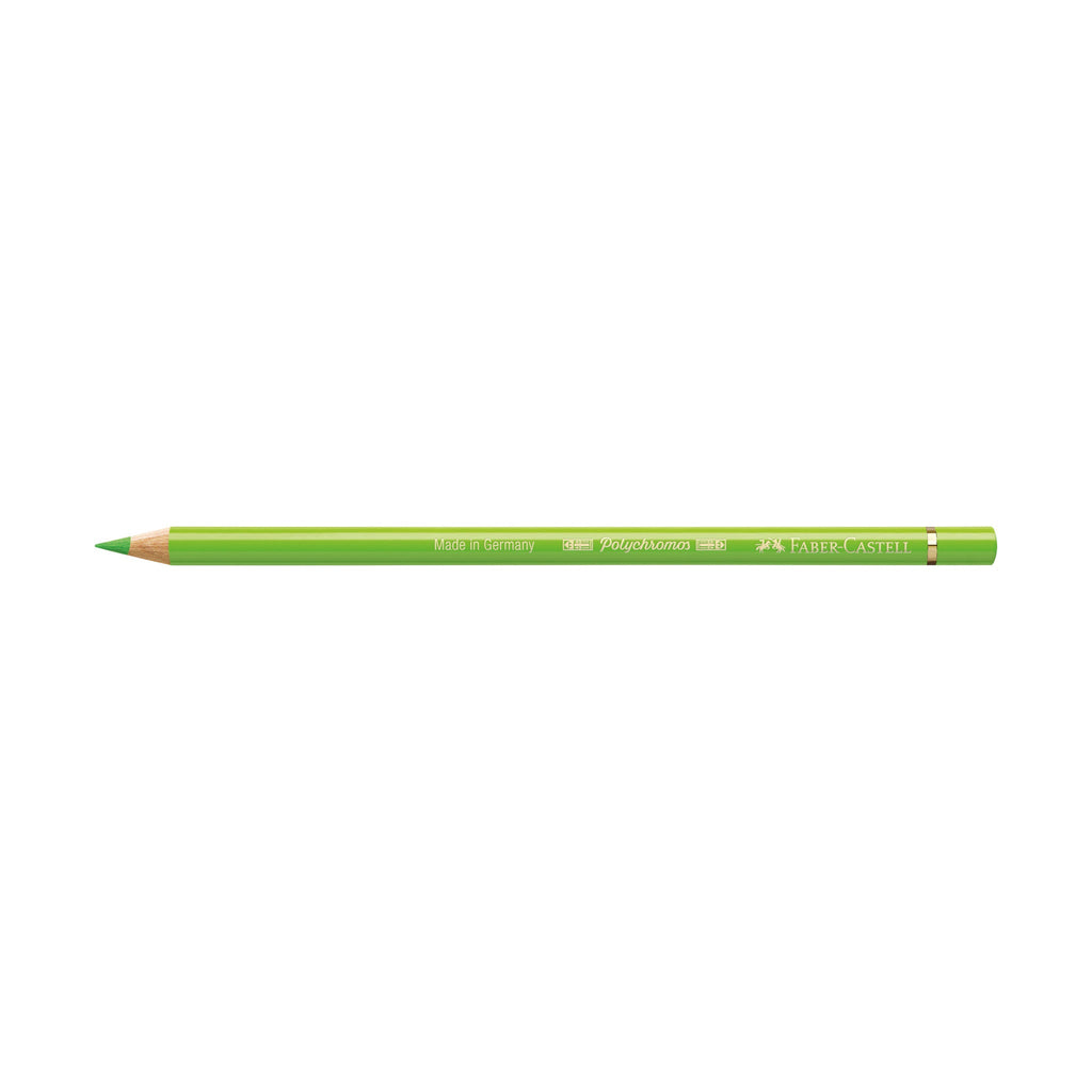 Polychromos Artists' Color Pencil - #171 Light Green - #FC110171