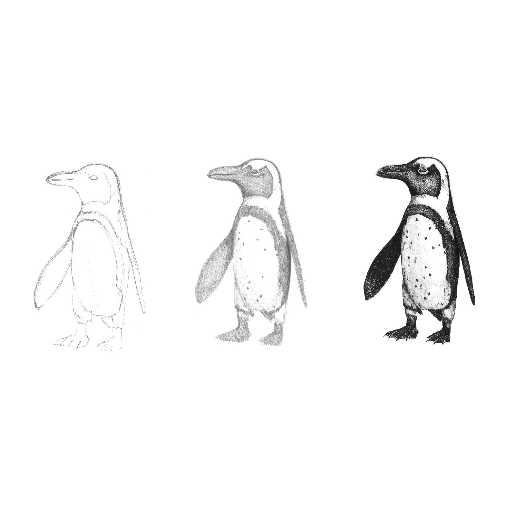 Do Art Drawing & Sketching - #FC14558