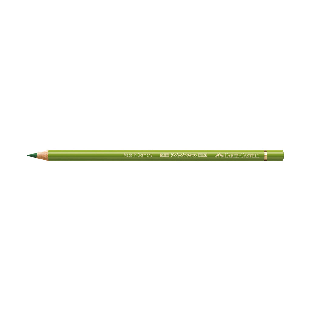 Polychromos Artists' Color Pencil - #168 Earth Green Yellowish - #FC110168