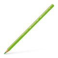 Polychromos Artists' Color Pencil - #171 Light Green - #FC110171