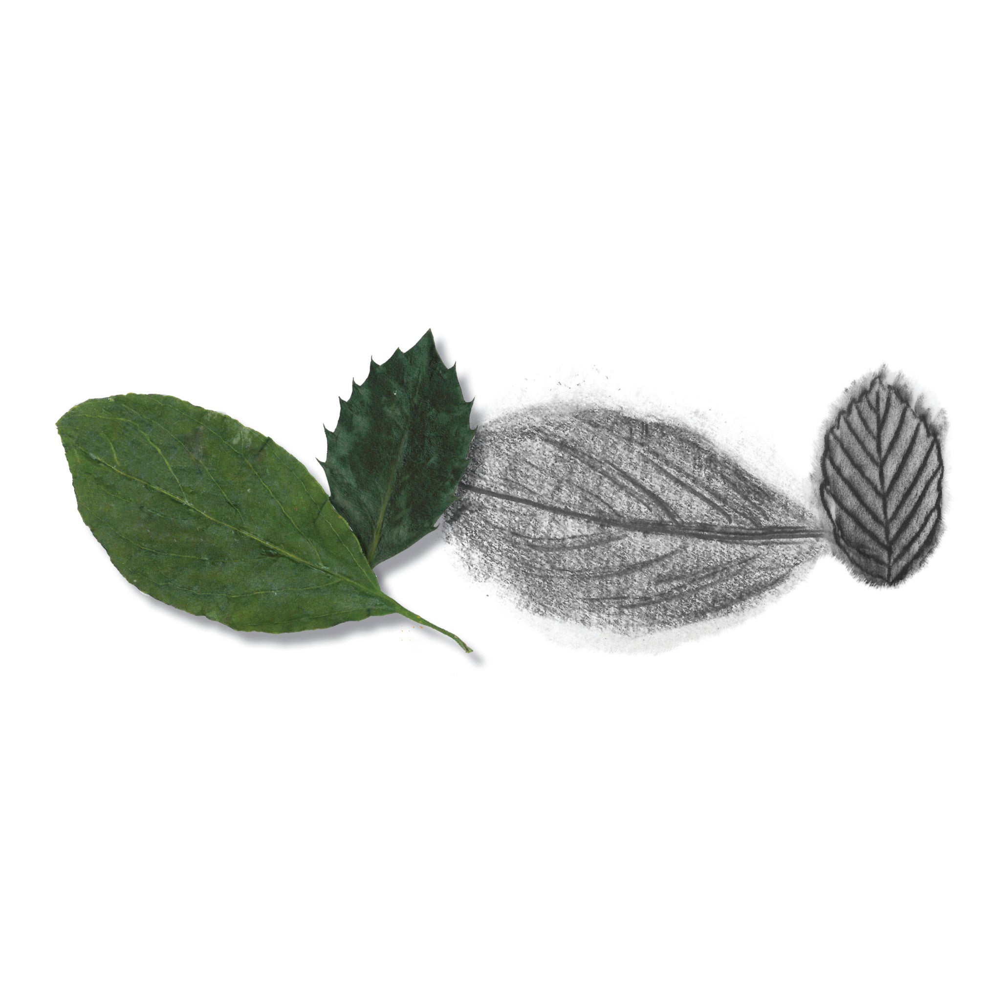 Do Art Drawing & Sketching - #FC14558