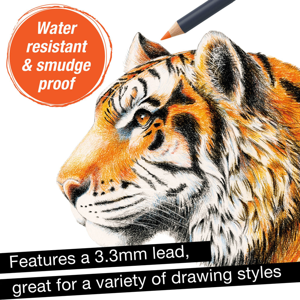 Goldfaber Color Pencil Box - 24ct - #FC214726